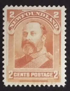 Newfoundland 81 VF MLH