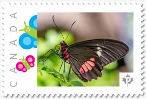 brown BUTTERFLY side view Personalized Postage stamp MNH Canada 2018 p18-06sn20