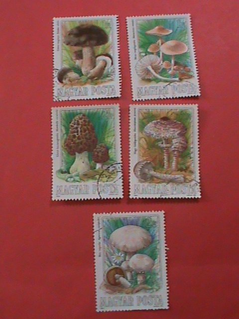 HUNGARY STAMP: COLORFUL BEAUTIFUL LOVELY MUSHROOM USED STAMPS SET.LARGE STAMPS.