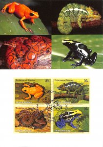 United Nations UN endangered species maximum card no. 89 frogs snakes