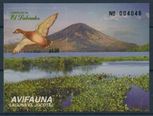 [116357] El Salvador 1999 Birds v�gel oiseaux Souvenir sheet MNH