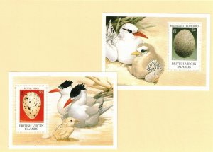 Virgin Isl. Sc 666-7 MNH 2S/S of 19 - Birds -HJ06