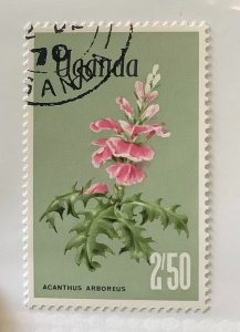 Uganda 1969 Scott 126 CTO - 2.50sh, Flowers, Acanthus arboreus