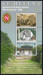 ST HELENA 2009 Boris Pavilion S/S; Scott 983, SG 1099; MNH