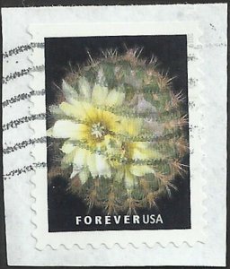 # 5356 Used Cactus Flowers