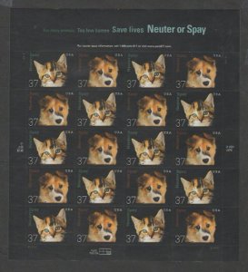 U.S. Scott #3670-3671 Cat & Dog Neuter or Spay Stamps - Mint NH Sheet - LR Plate