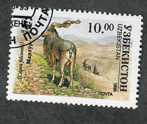 Uzbekistan #65 used single