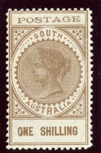 South Australia 1902 QV 1s brown Watermark 13 (P11½-12½) superb MNH. SG 275.