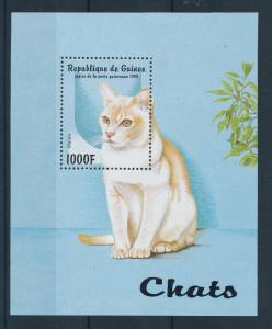 [26133] Guinea 1998  Cats MNH