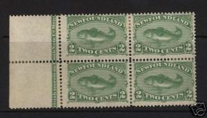 Newfoundland #46 Mint Plate Block