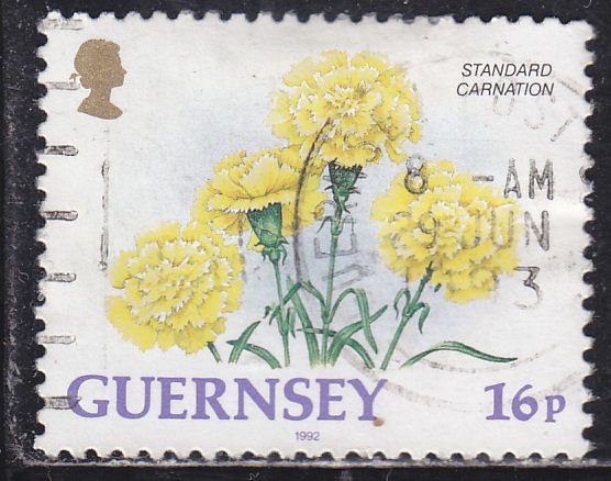 Guernsey 486 Standard Carnation 1992