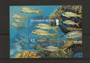 Ascension 2012 Reef Fish  miniature sheet sg.MS1133 MNH