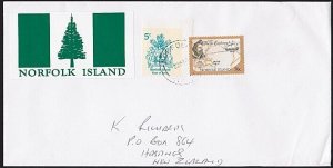 NORFOLK IS 1989 cover with large cinderella, 5c local + 70c commem.........B3497