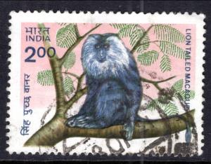 India 1030 Monkey Used VF