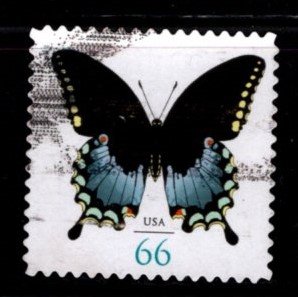 #4736 Spicebush Swallowtail Butterfly (Off Paper) - Used