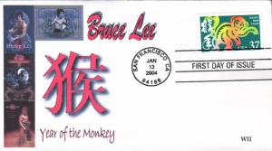 #3832 Year of the Monkey WII FDC