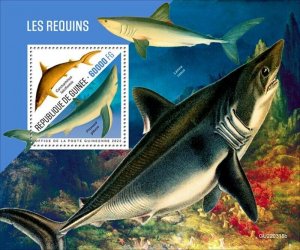 Guinea - 2022 Sharks, Silky, Blue - Stamp Souvenir Sheet - GU220318b