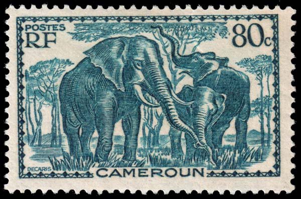 Cameroun - Scott 239 - Mint-Hinged