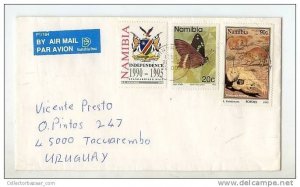 NAMIBIA BUTTERFLY STAMP Postally used in Cover - Butterfly Eagle and Fauna