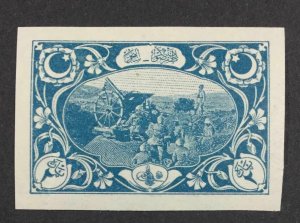 MOMEN: TURKEY SC #546 VAR. IMPERF MINT OG NH LOT #63681