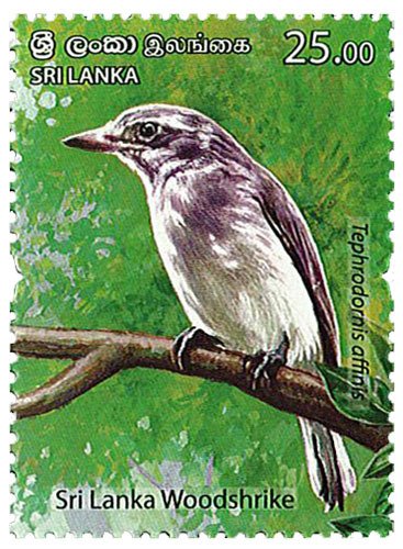 2021 Sri Lanka Endemic Birds (6) (Scott 2285-90) MNH