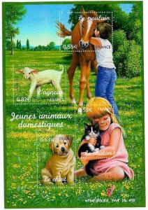 FRANCE 2006 - Dog Cat Horse - MNH S/Sheet  # 3205a