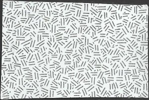 # 5695 Used Women's Rowing