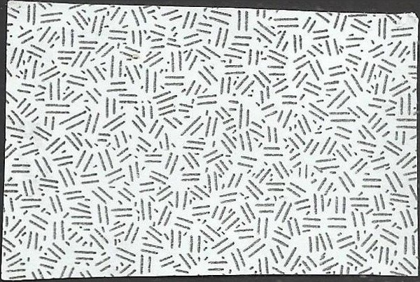 # 5695 Used Women's Rowing