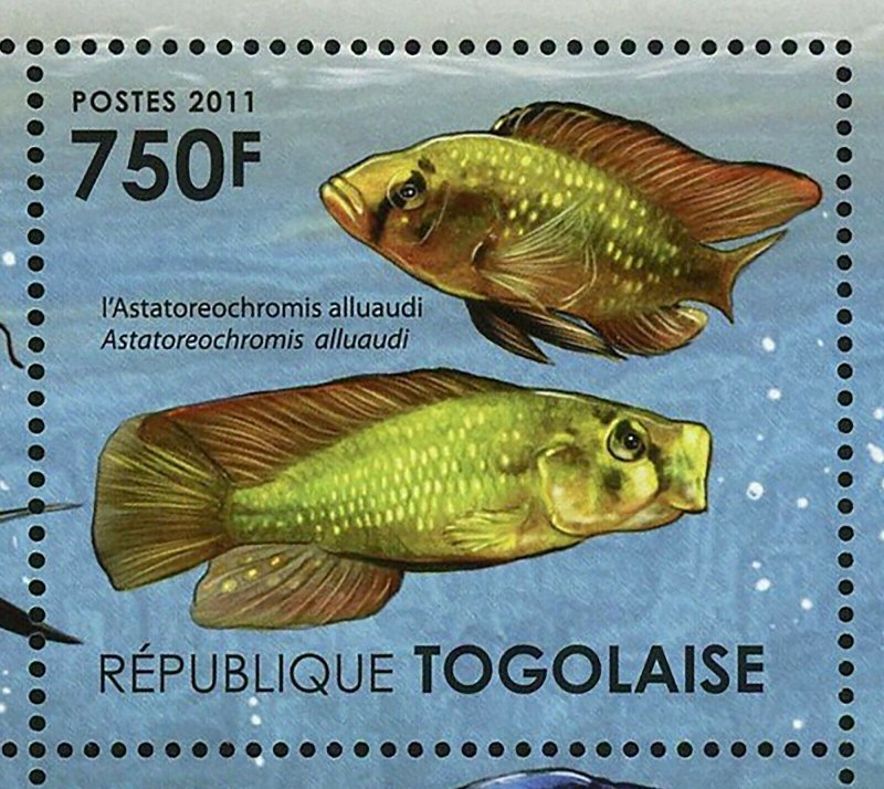 Ecosystem of Victoria Lake Stamp Freshwater Angelfish Fish S/S MNH #4177-4180