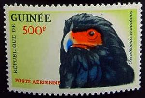 Guinea, Scott C43, MNH