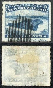 Newfoundland SG43 5c Blue Rouletted inscriptional