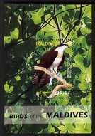 MALDIVES - 2007 - Migratory Birds, Osprey - Perf Min Sheet - Mint Never Hinged