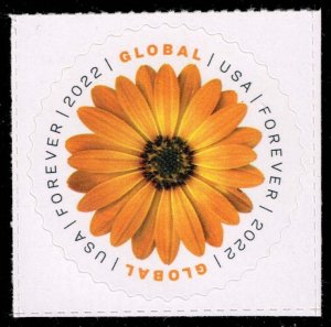 US #5680 African Daisy; MNH
