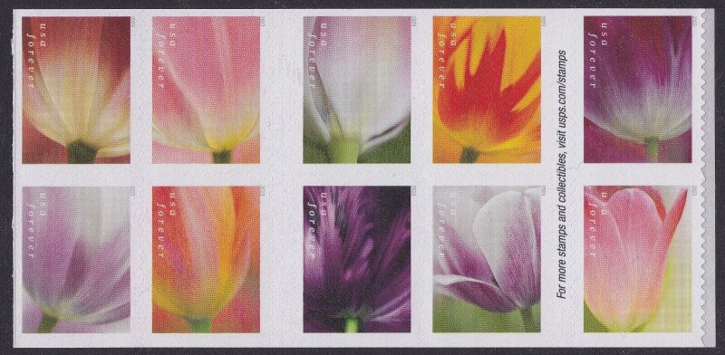 US 5777-5786 5786a Tulip Blossoms F block 10 MNH 2023