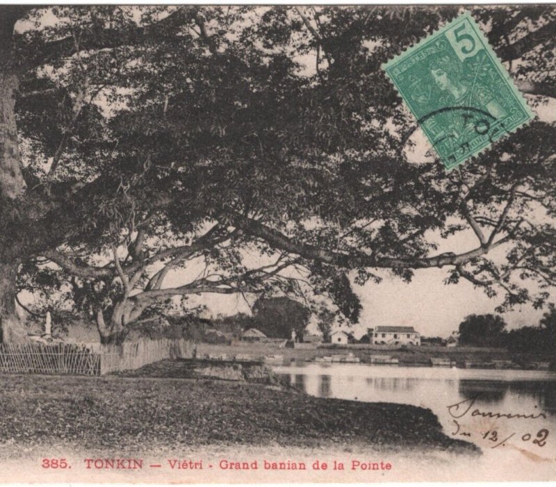 France Cols INDOCHINA Postcard Tonkin TREES View-Side 1902 {samwells}MA547