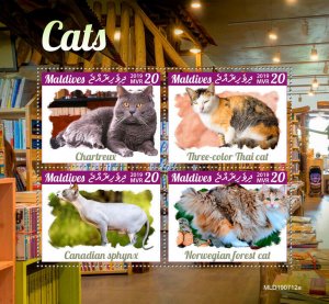 Maldives 2019 MNH Cats Stamps Chartreux Norwegian Forest Cat Sphynx 4v M/S