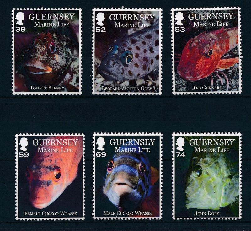 [29382] Guernsey 2013 Marine Life Fish MNH