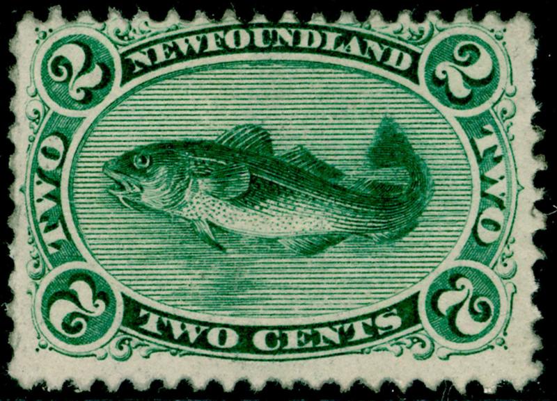 CANADA - Newfoundland SG31, 2c  bluish green, M MINT. Cat £120.