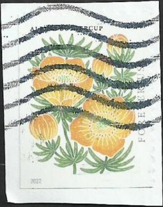 # 5678 Used Mountain Flora