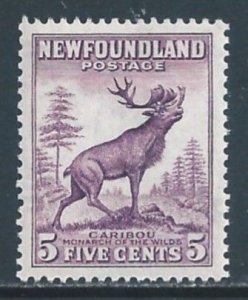 Newfoundland #191 NH 5c Caribou Die II