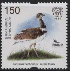 Kyrgyzstan KEP 114 (mnh) 150s Bird of the Year: little bustard (2019)