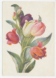 Postal stationery Soviet Union 1960 Flower - Tulip