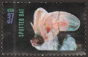 # 3663 USED PALLID BAT