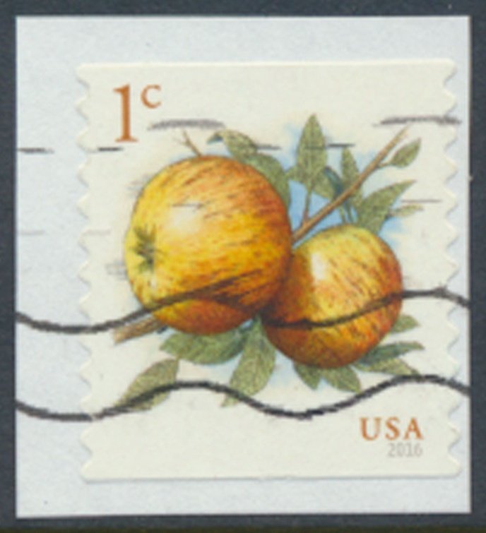 USA Sc# 5037  Used SA on piece Fruit Apple 2016  see details  / scan