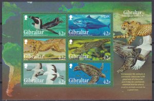 Gibraltar, Fauna Animals, Birds, Reptiles, Fishes MNH / 2013