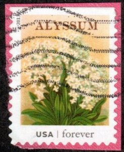 United States 4758 - Used - (46c) Alyssum / Seed Packet (2013) (cv $0.60)