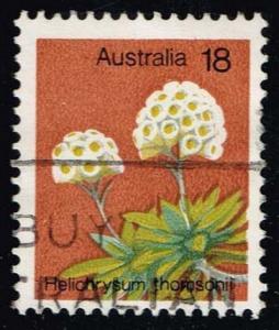 Australia #564 Helichrysum Thomsonii; Used (0.25)