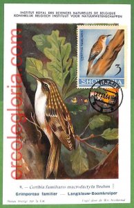 32920 - ALBANIA - MAXIMUM CARD - 1964 - FAUNA, BIRDS-