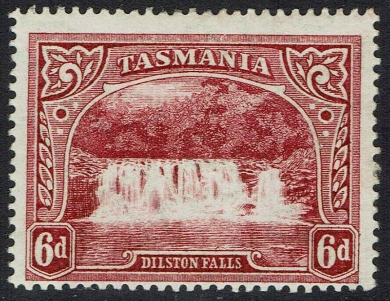 TASMANIA 1899 DILSTON FALLS 6D WMK MULTI TAS 