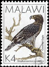 MALAWI   #532 USED (1)
